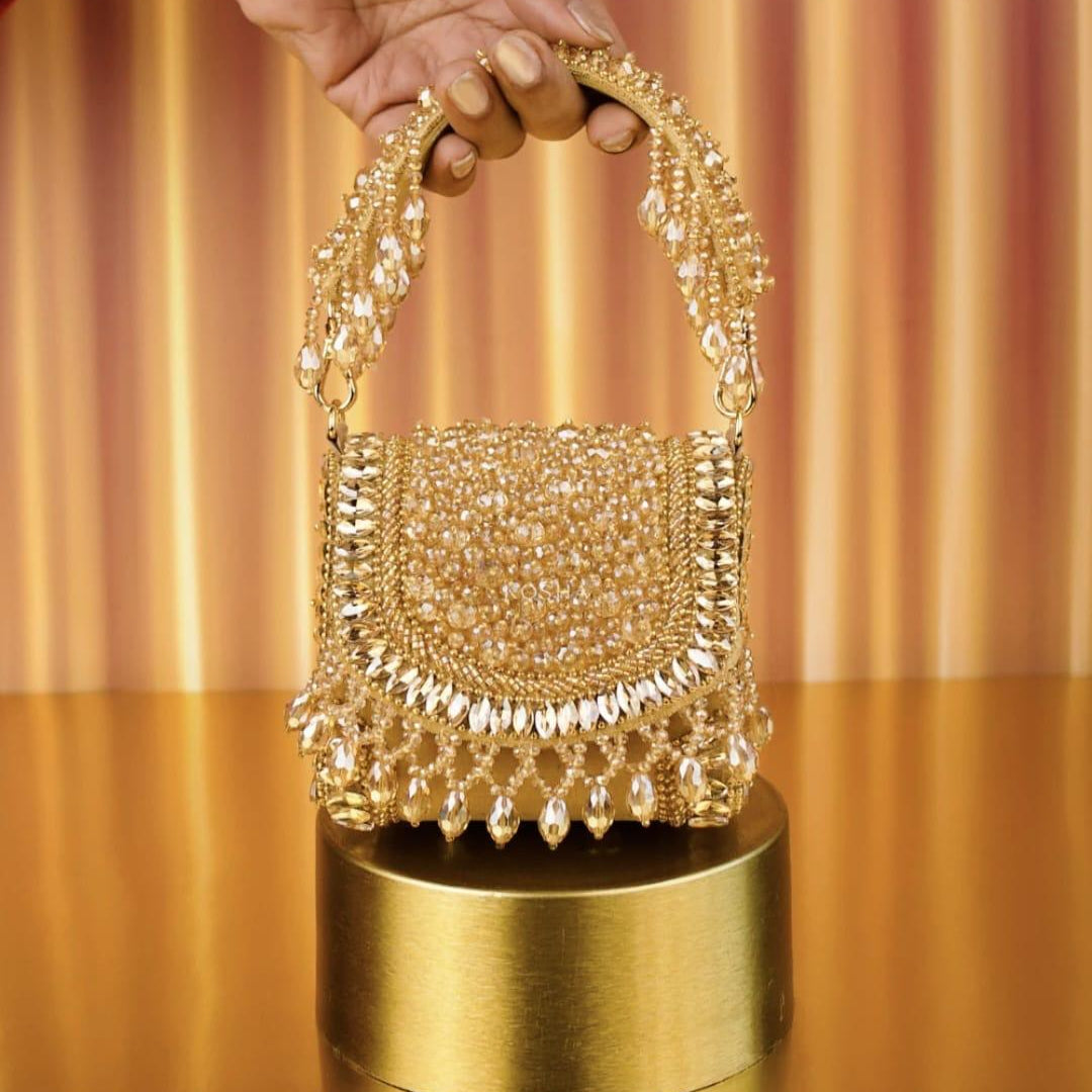 Dilruba Bag